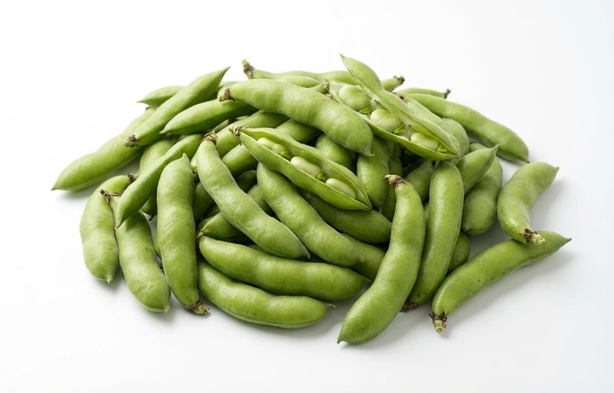 fresh field beans