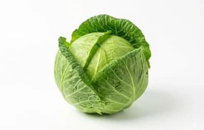 green cabbage