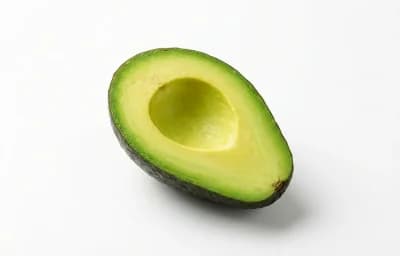 avocado fruit