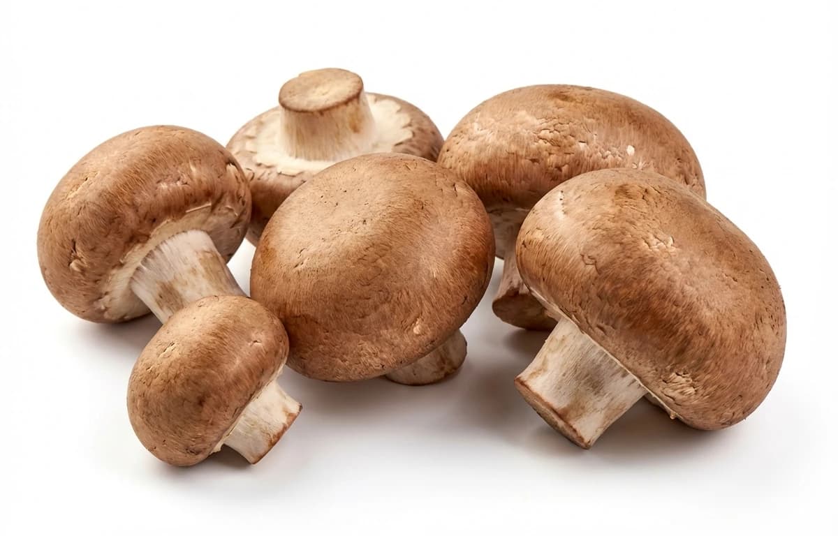 mushrooms