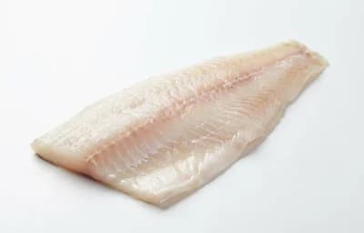 Walleye Fillet
