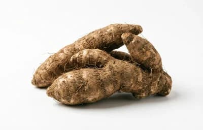 raw arrowroot
