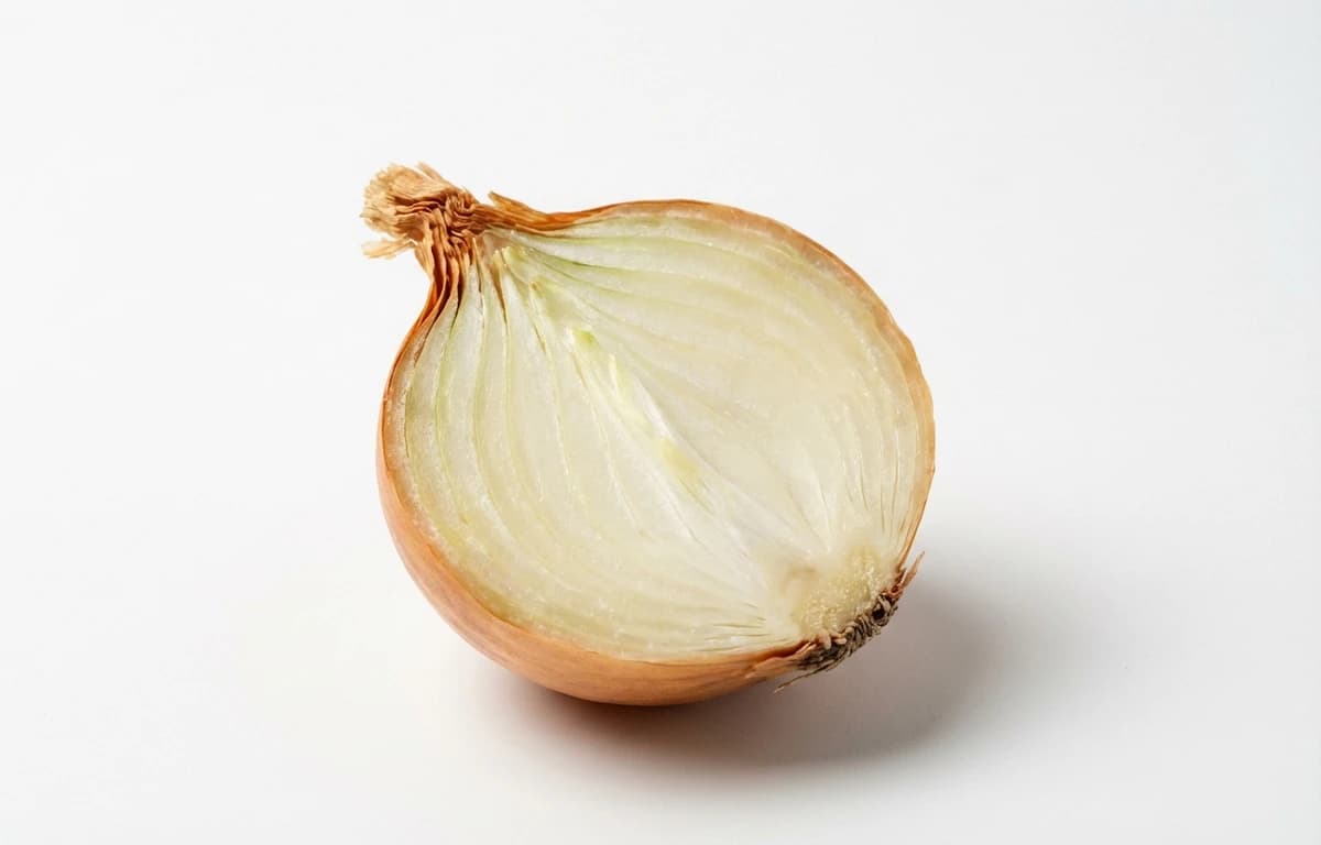 raw yellow onion