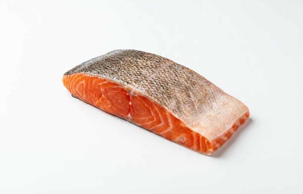 raw chinook salmon