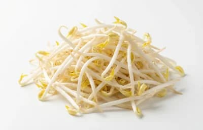 bean sprouts