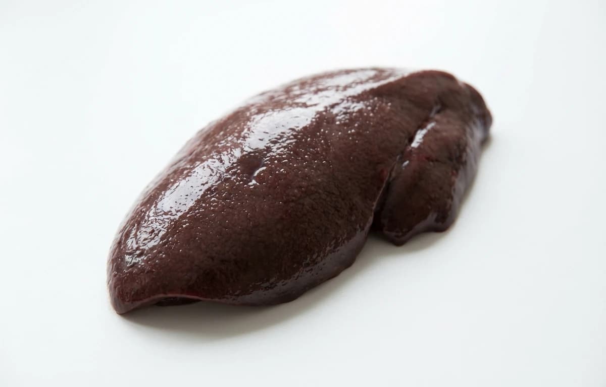 ringed seal liver