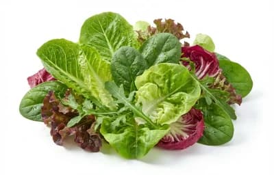 mixed salad greens
