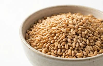 whole wheat grains