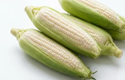 white corn