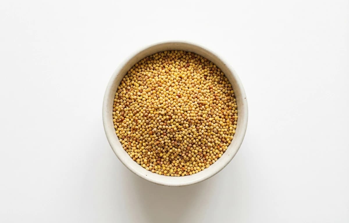 foxtail millet