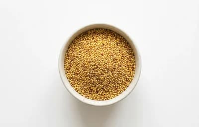 foxtail millet