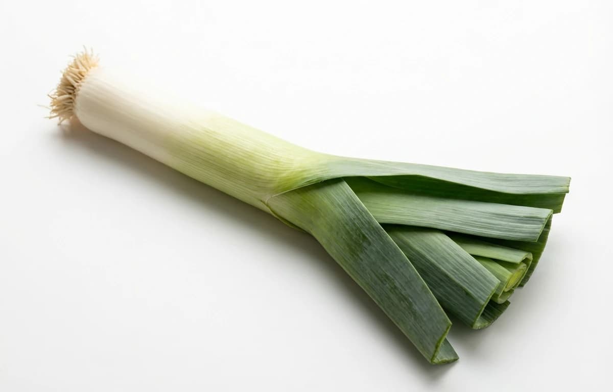 leek
