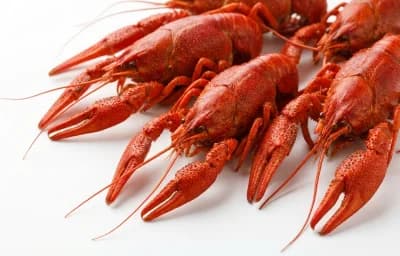 whole crawfish