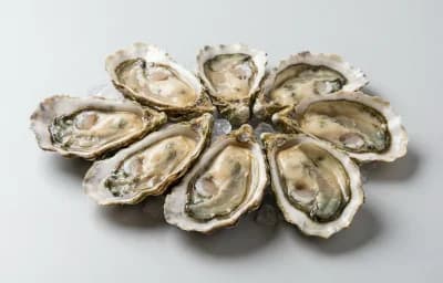 cooked dry heat farmed eastern oyster