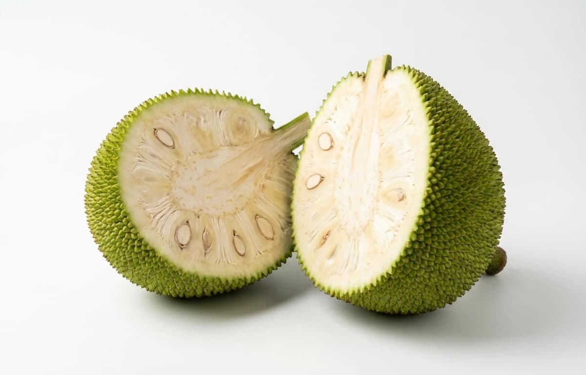 young green jackfruit