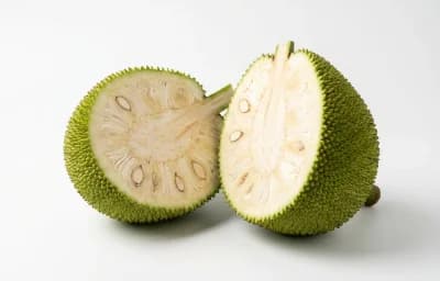 young green jackfruit