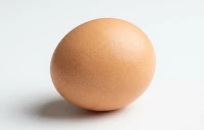 egg
