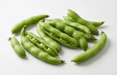 raw broadbeans