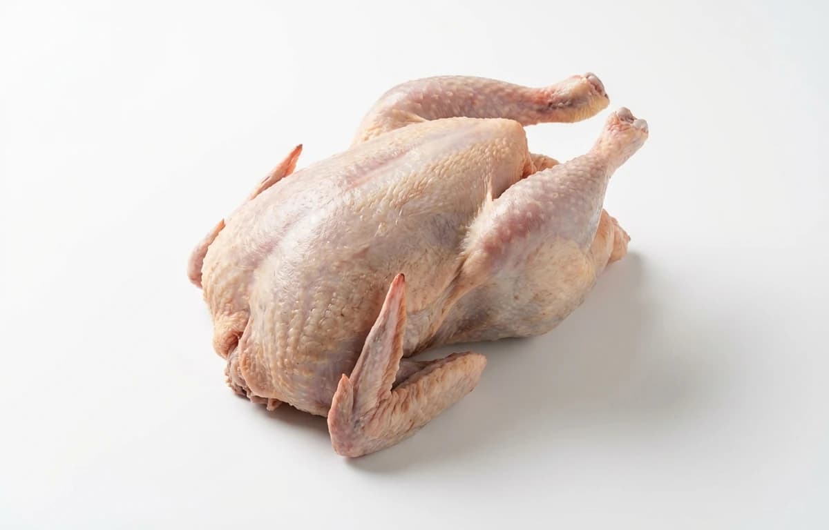raw pheasant