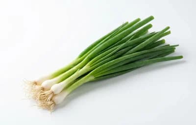 green onion