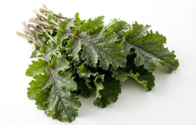 raw mustard greens