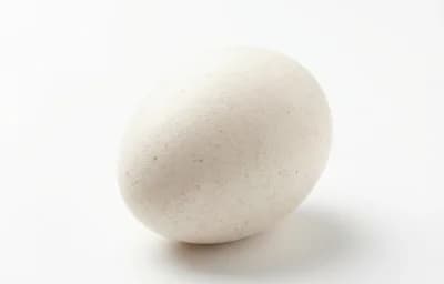 raw goose egg