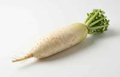 daikon radish