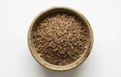 Anise Seed