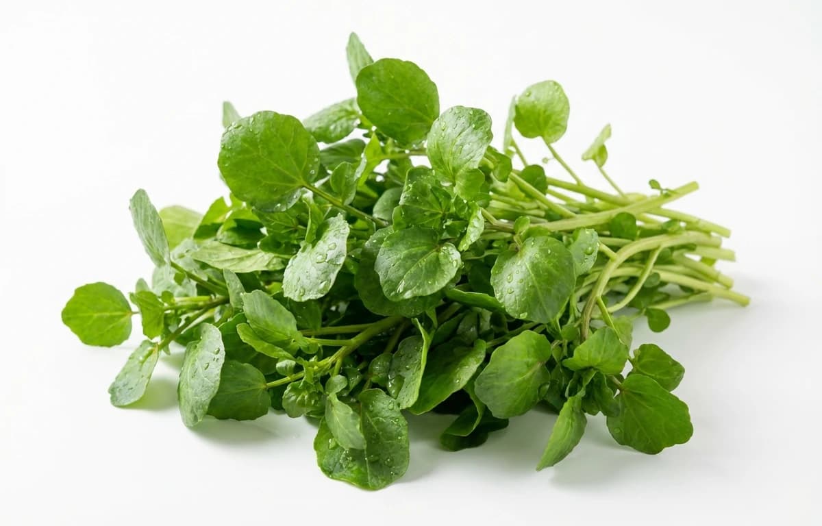 raw watercress