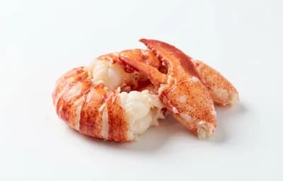 cooked lobster meat