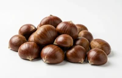 raw unpeeled european chestnut