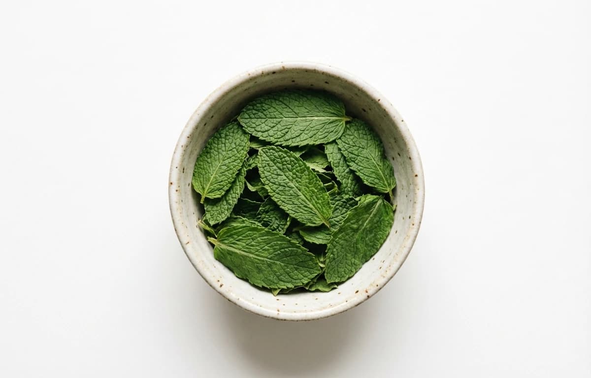 dried mint leaves