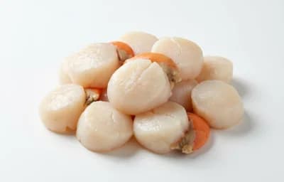 large sea scallops