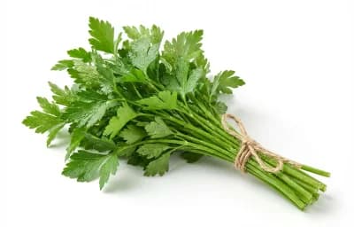 Parsley Stems