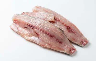 Kingfish Fillets