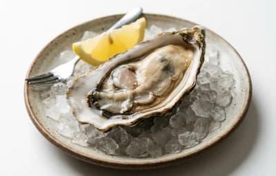 raw pacific oyster