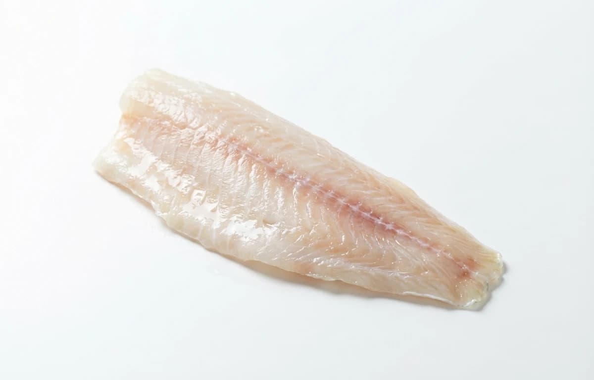 scrod