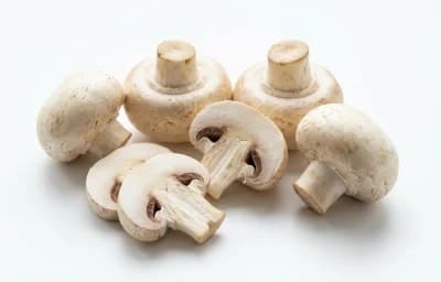 fresh button mushroom