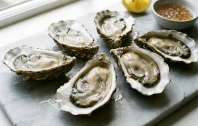 large oysters