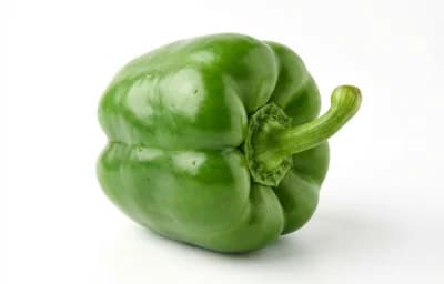 Green Bell Peppers