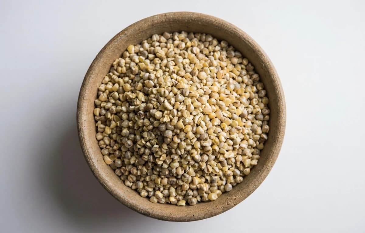 broken pearl millet