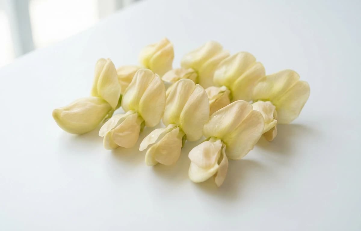 steamed unsalted sesbania flower