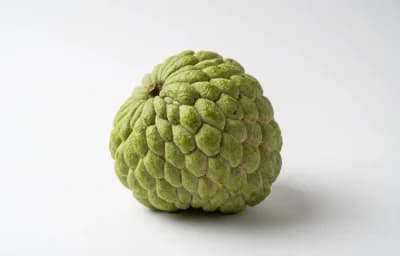 custard apple