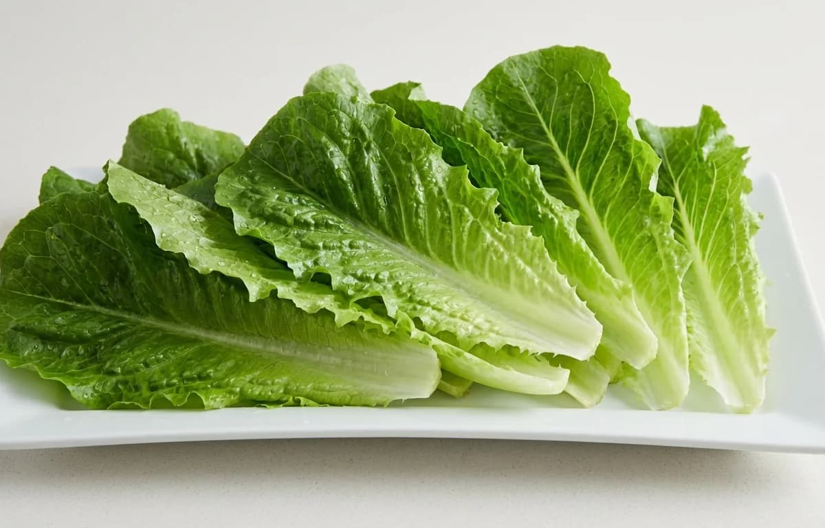Lettuce Leaves