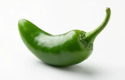 serrano chile