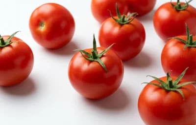 Medium Tomatoes