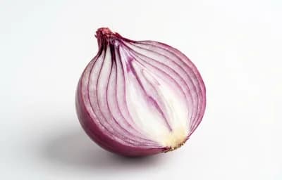 medium red onion