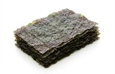 raw laver seaweed