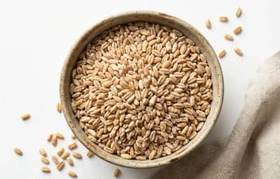 raw dry pearled farro
