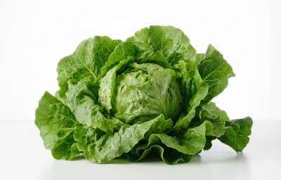 escarole